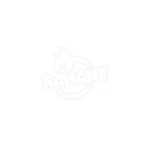 Şahane Logo